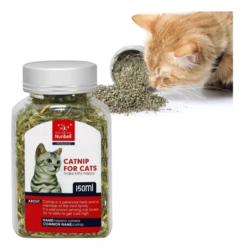 Catnip