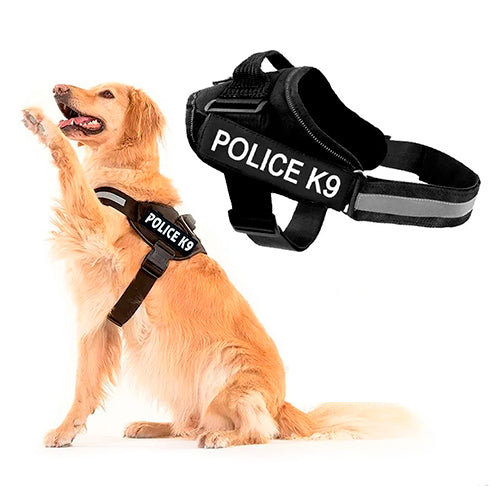 PECHERA POLICE K9